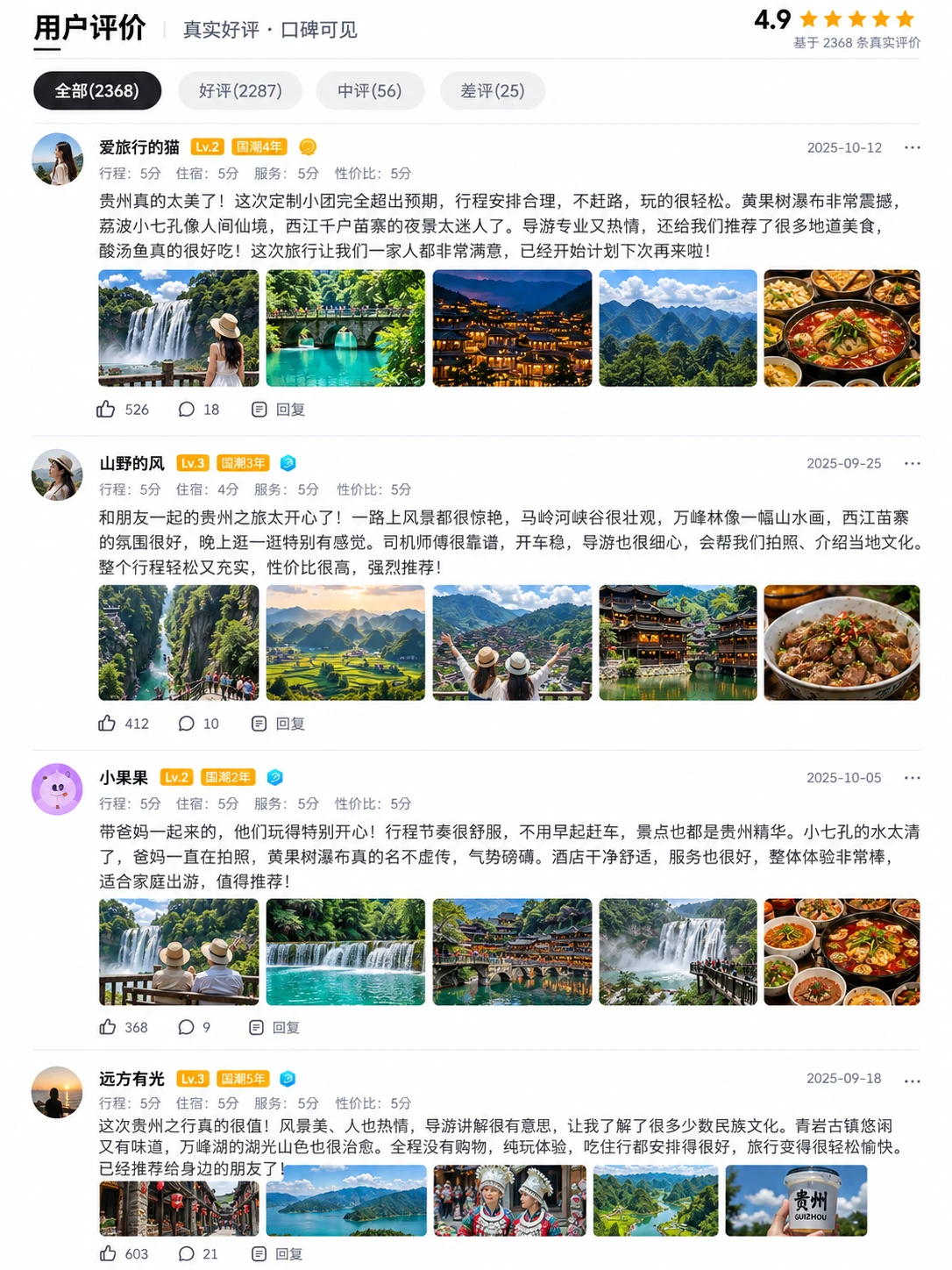 游客评论截图（中文）